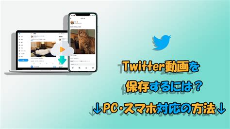 えろtwitter保存|Twitter動画保管庫